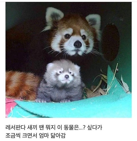 이미지 로딩중