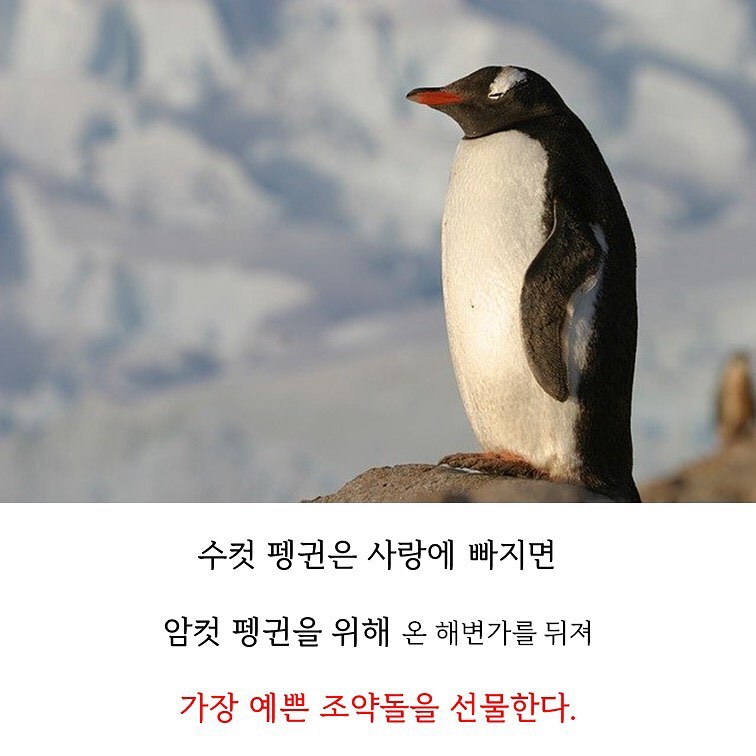 우리가 몰랐던 세상 신기한 사실 모음 : 네이버 블로그