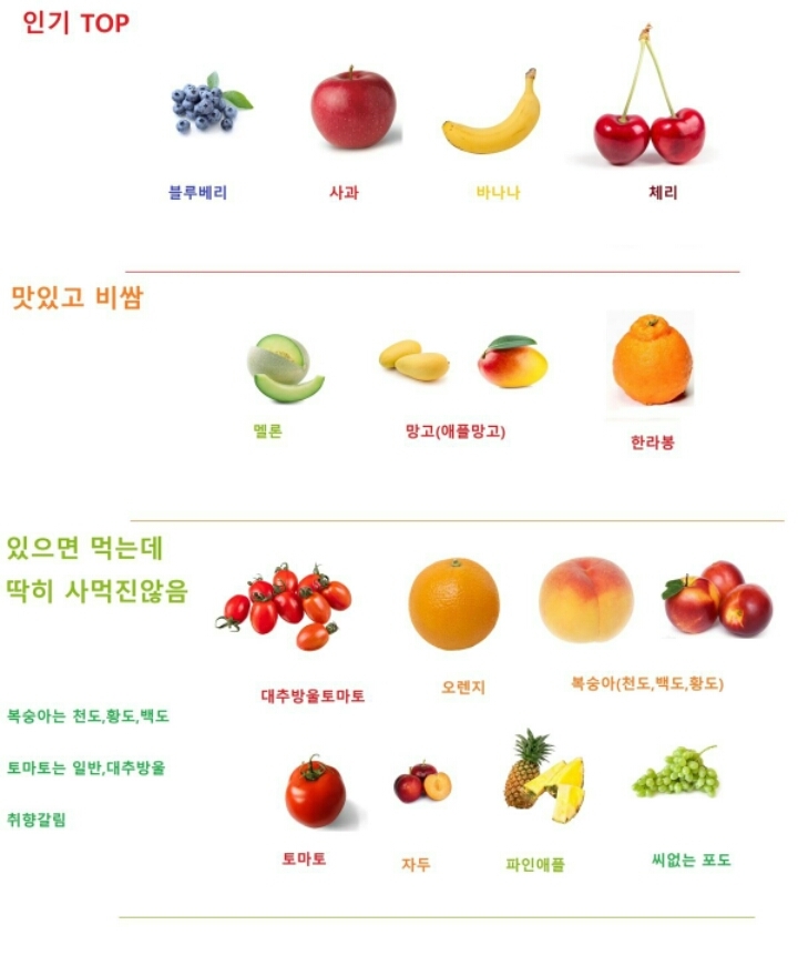 Am Apple Diary - 12월 넷째 주 (단백질 균형 & 과일)