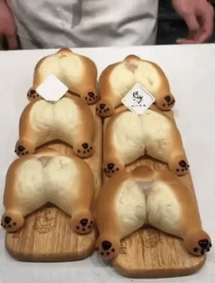 댕댕이 엉덩이빵 - 에누리 쇼핑지식 자유게시판