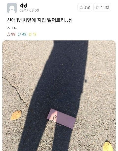 썸네일-해맑은 영혼이 떨어진 지갑 목격한 썰-이미지