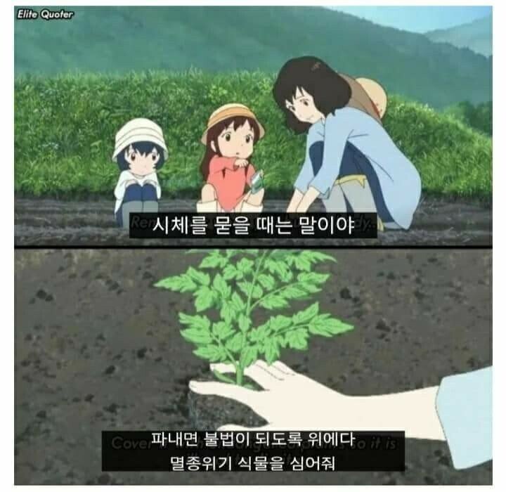 썸네일-시체 묻을 때 꿀팁-이미지