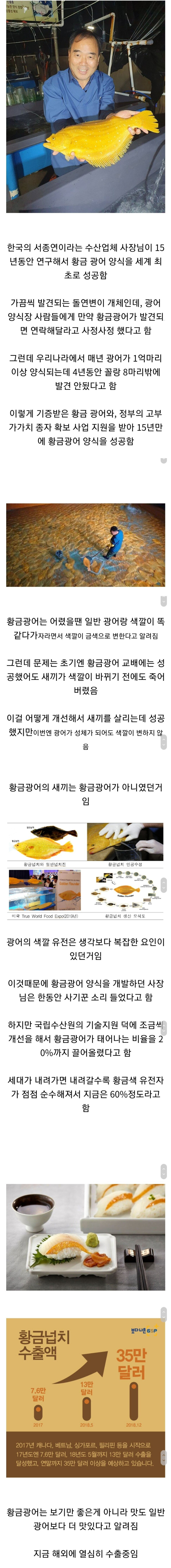 썸네일-전 세계에서 최초로 양식 성공한 황금광어-이미지