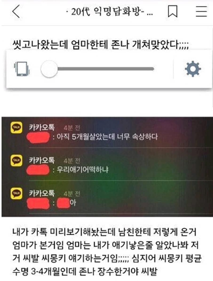 썸네일-5개월 몰래키운 자식을 부모님한테 걸림-이미지