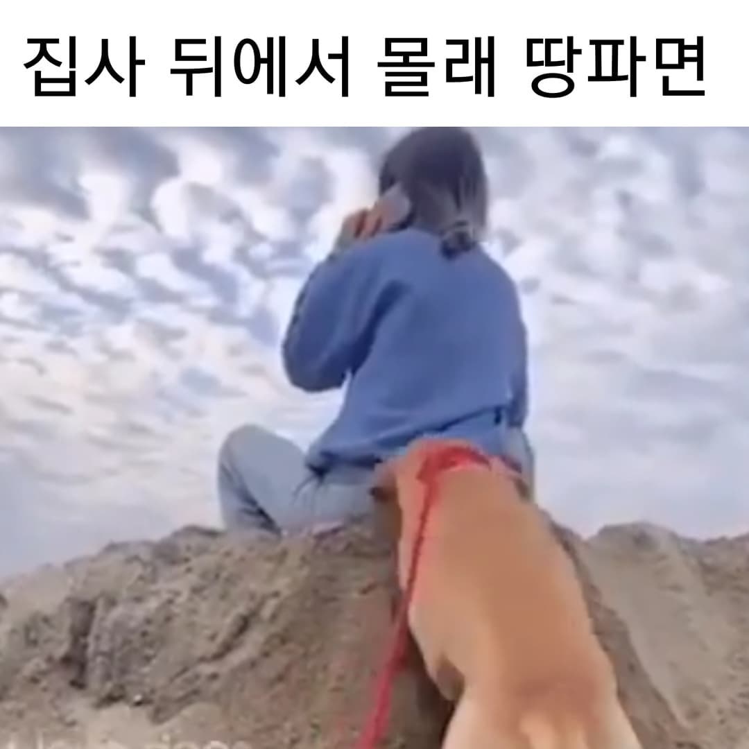 썸네일-집사 뒤에서 몰래 땅파면-이미지