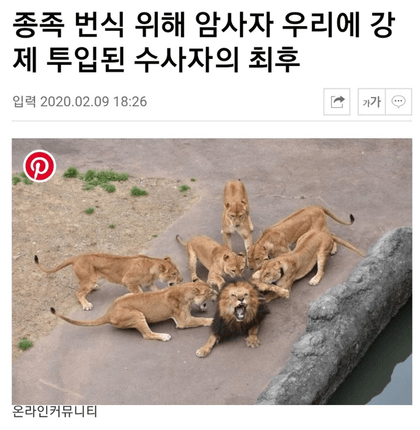 썸네일-총각 힘좀써봐-이미지