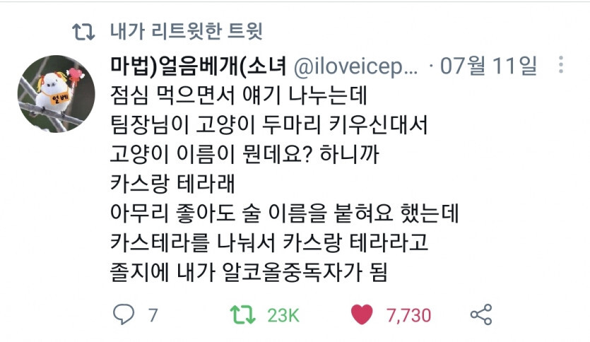 썸네일-고양이 이름을 맥주 이름으로 지은 사람-이미지