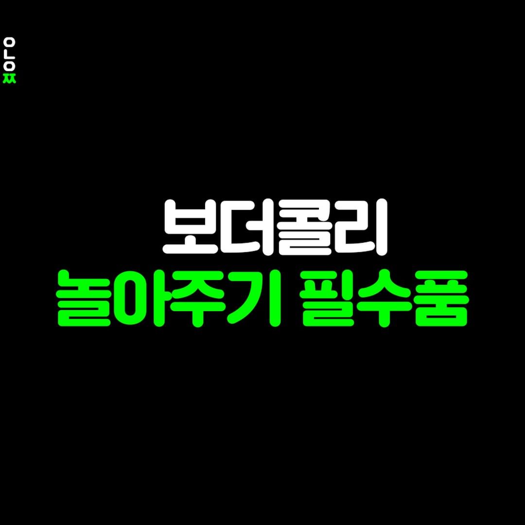 썸네일-보더콜리 놀아주기 필수품-이미지