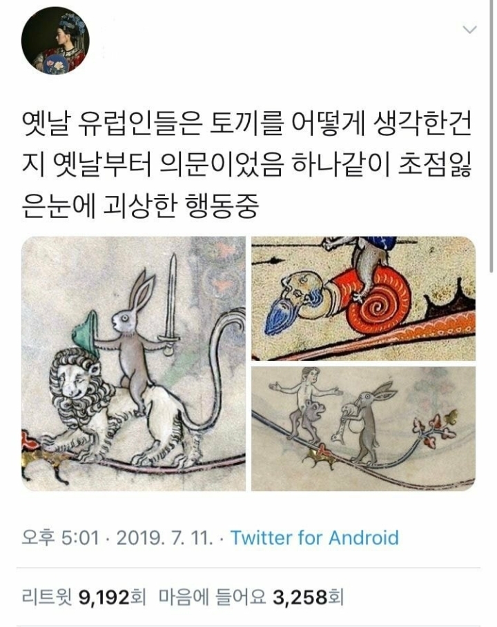 썸네일-아이돌로 보는 한국 토끼와 외국 토끼의 차이(feat.세븐틴)-이미지