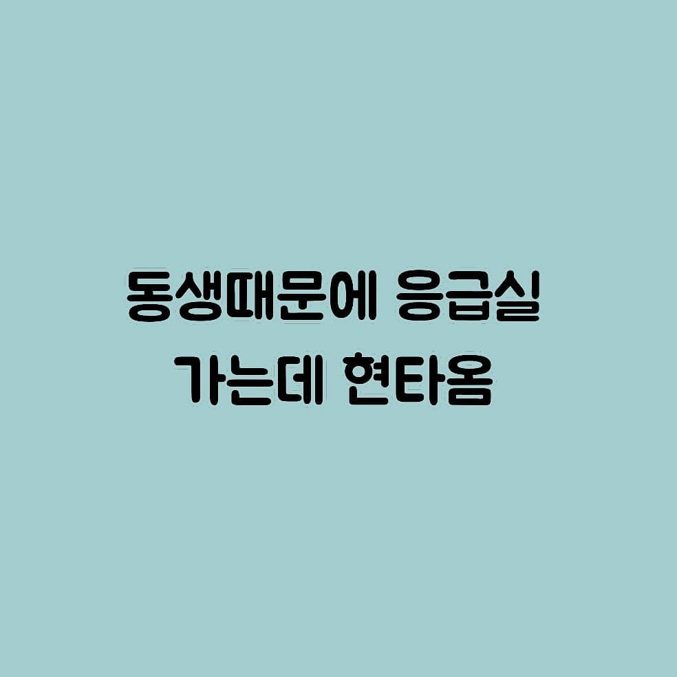 썸네일-동생때문에 응급실 가는데 현타옴-이미지