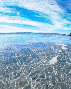 썸네일-뜨거운 태양 아래 투명한 바다 반짝이는 파도.gif-이미지