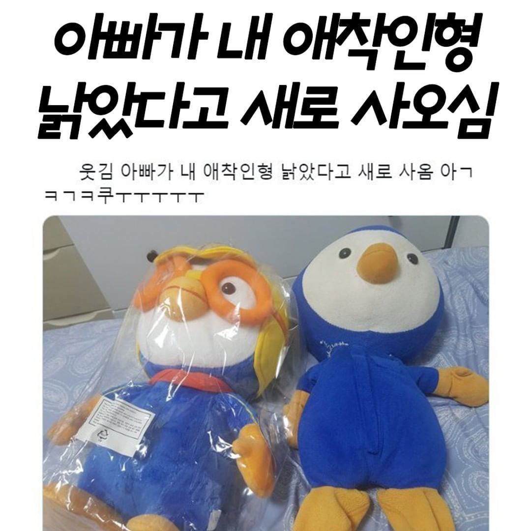 썸네일-아빠가 내 애착인형 낡았다고 새로 사오심-이미지