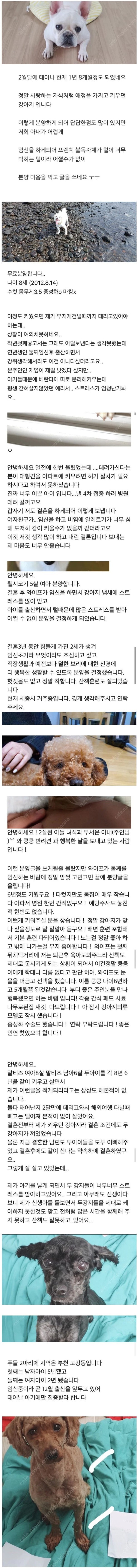 썸네일-강아지 분양 보낼 때 신혼부부 거르는 이유-이미지