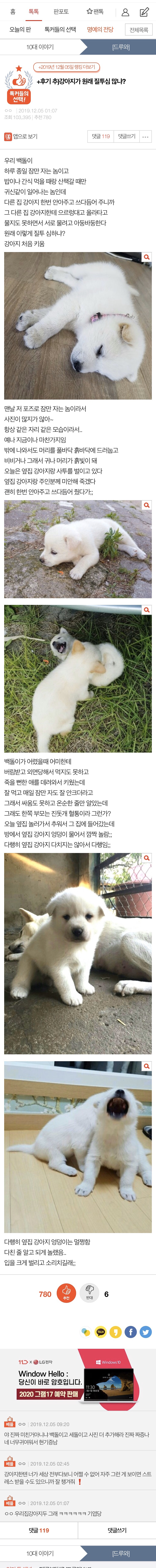 썸네일-강아지가 원래 질투심 많냐?-이미지