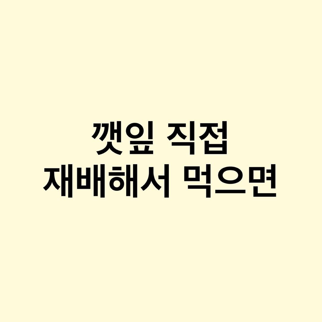 썸네일-깻잎을 직접 재배해서 먹으면-이미지