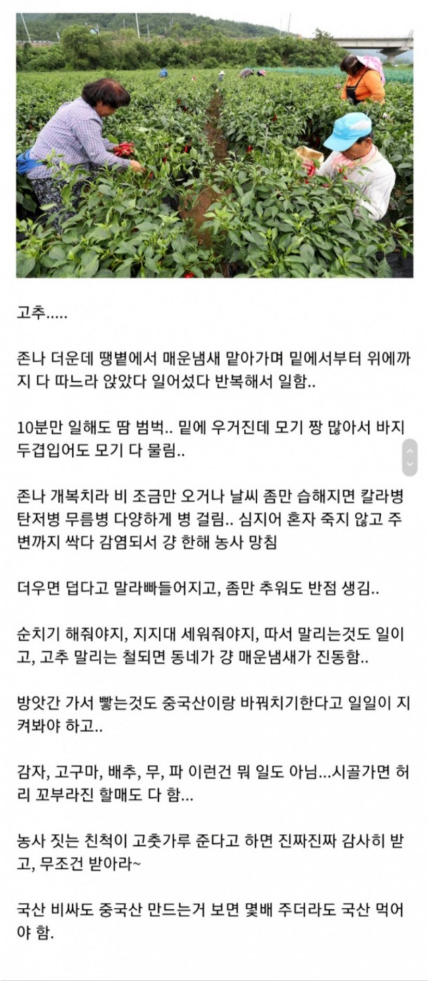 썸네일-의외로 농사짓기 어려운 작물-이미지