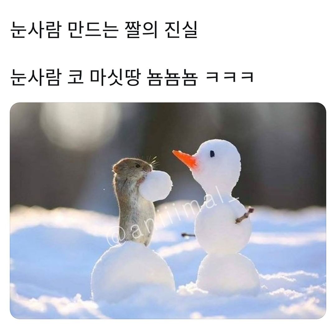 썸네일-눈사람 만드는 짤의 진실-이미지