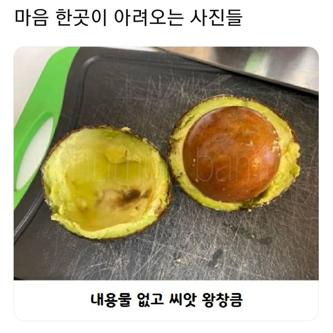 썸네일-마음 한곳이 아려오는 사진들-이미지