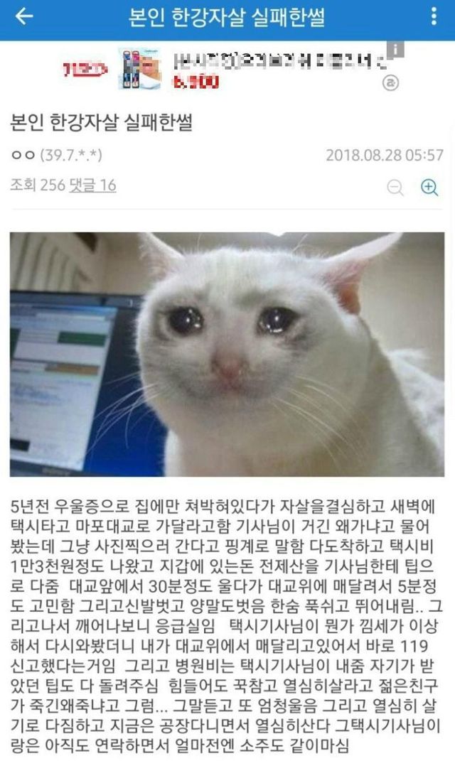 썸네일-한강 자살 실패한 썰-이미지