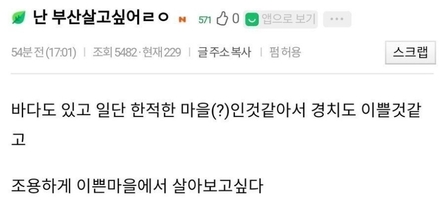 썸네일-난 부산에서 살고싶어!-이미지