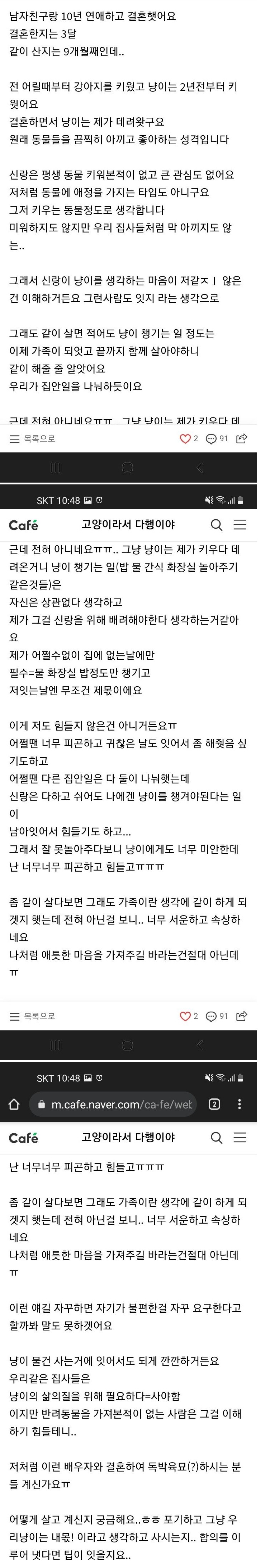 썸네일-독박육묘에 시달린다는 주부..jpg-이미지