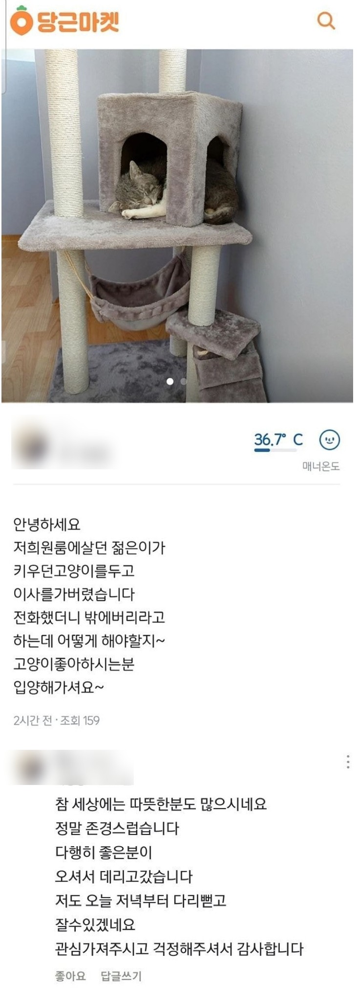 썸네일-당근마켓에 올라온 고양이-이미지