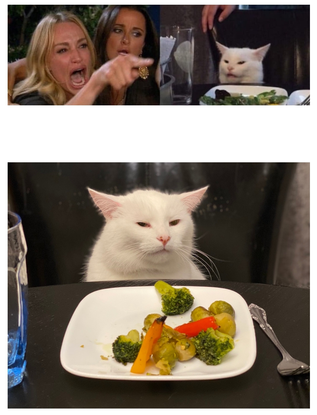 썸네일-야채를 싫어하는 고양이 근황-이미지