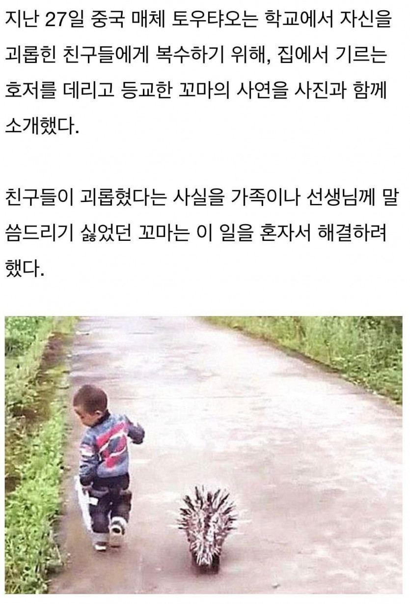 썸네일-학교에서 괴롭힘 당하고 혼자 해결하고 싶었던 아이-이미지