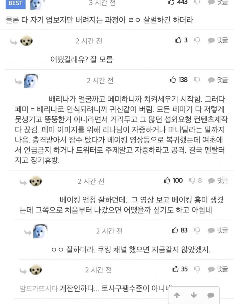 썸네일-배리나가 페미에게서 버림받은 과정-이미지