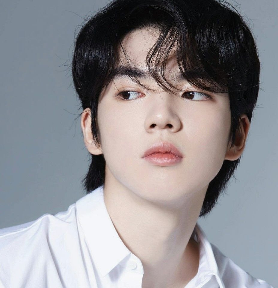 제육대회 이미지