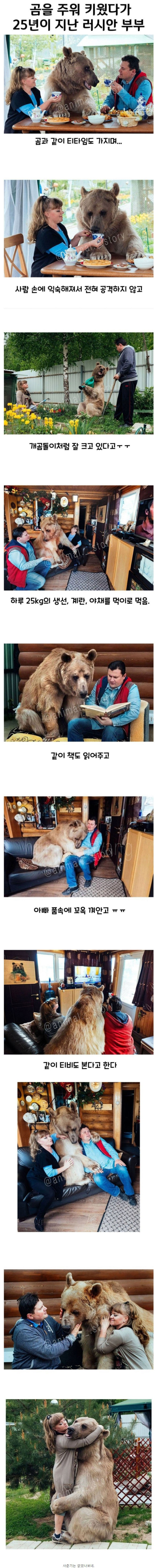 썸네일-곰 주워서 25년간 키운 러시아 부부-이미지