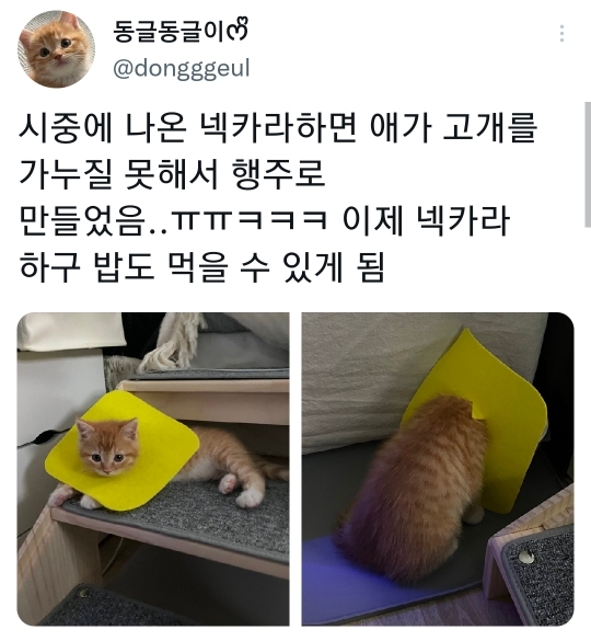 썸네일-고양이 행주 넥카라-이미지