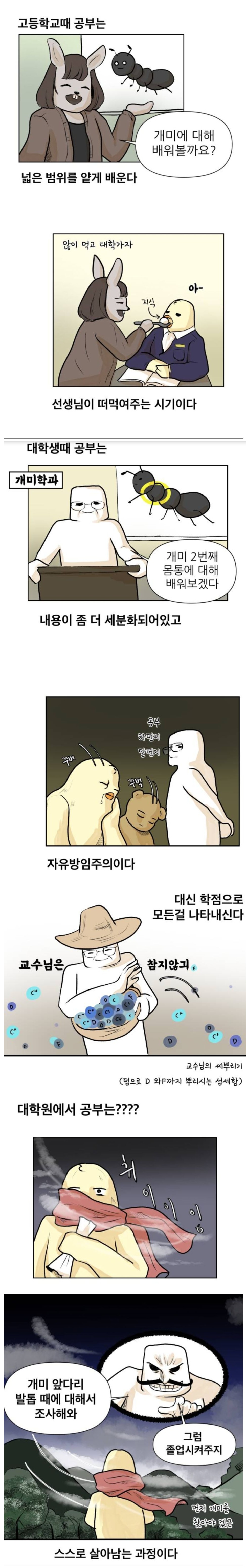 썸네일-공부의 단계 고딩~대학~노예-이미지