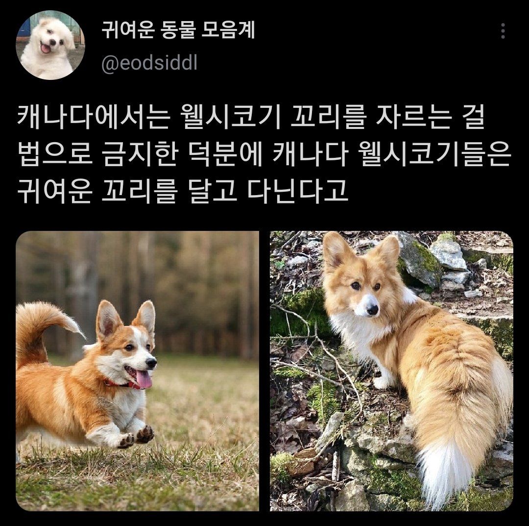 썸네일-우리나라도 법으로 지정해야하는것.jpg-이미지