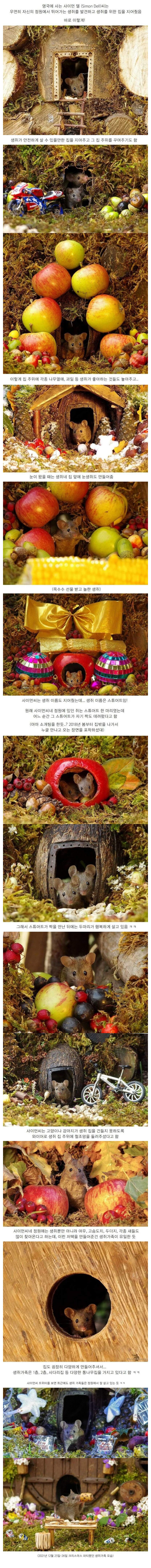 썸네일-정원에서 쥐를 발견한 남자가 취한 행동-이미지