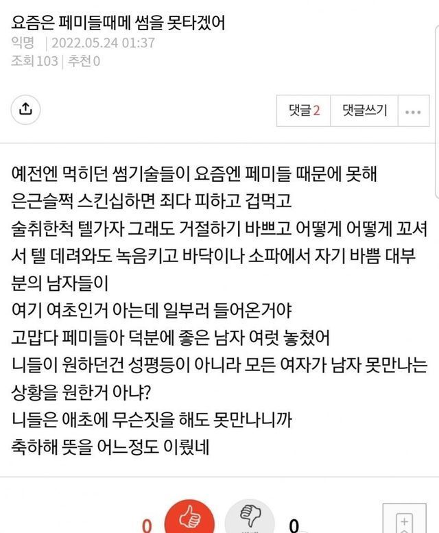 썸네일-페미 때문에 썸을 못탄다는 인싸녀-이미지