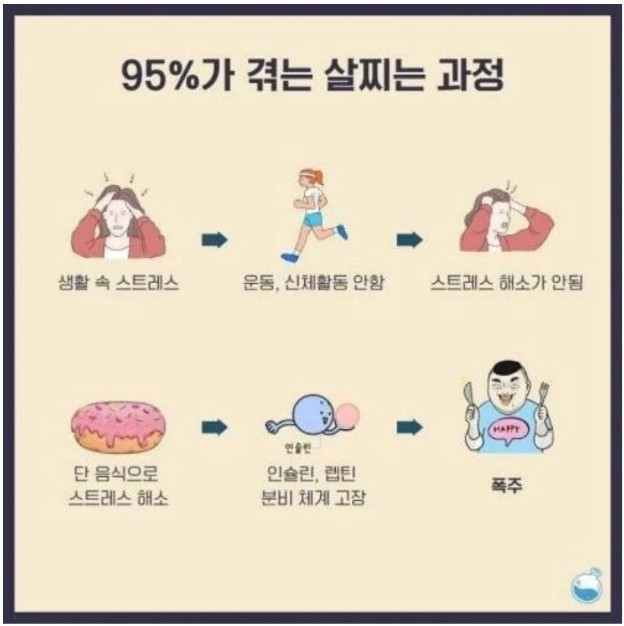 썸네일-95%가 겪는 쌉돼지 되는 과정-이미지