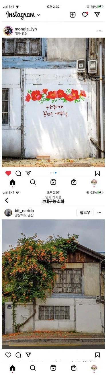 썸네일-경북 경산의 능소화 꽃이 피는 예쁜 집-이미지