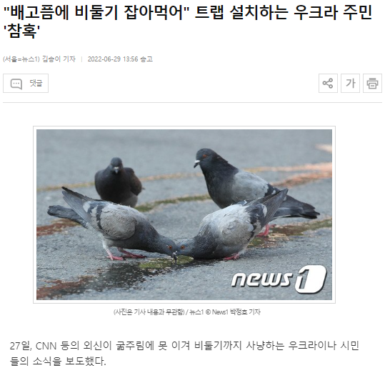 썸네일-우크라 주민들 "배고파서 비둘기 잡아먹어"-이미지