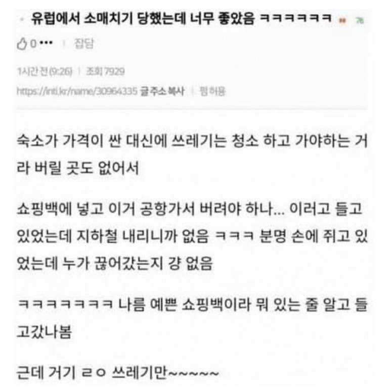 썸네일-유럽에서 소매치기당했는데 너무좋았음-이미지