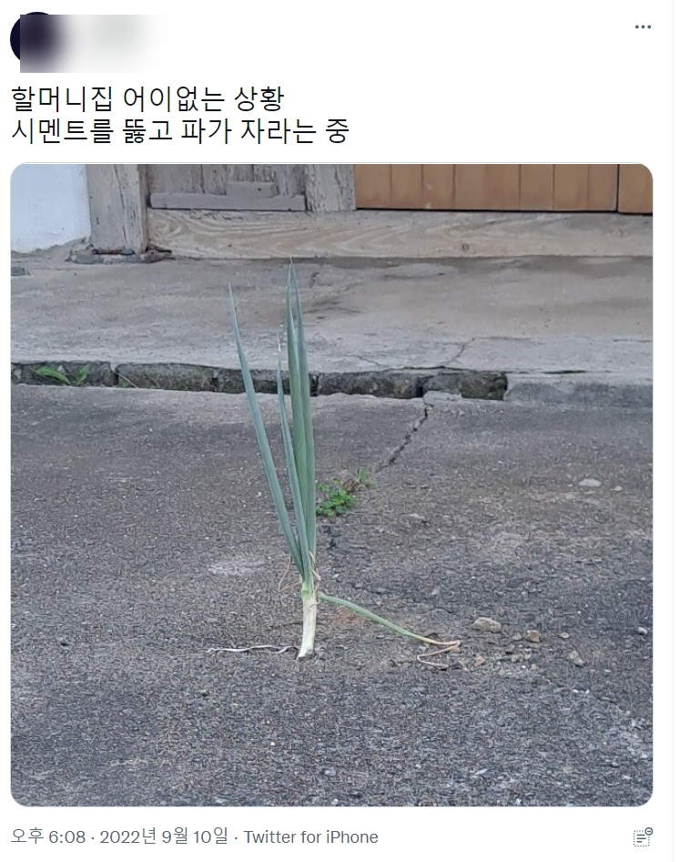 썸네일-할머니집 어이없는 상황.jpg-이미지