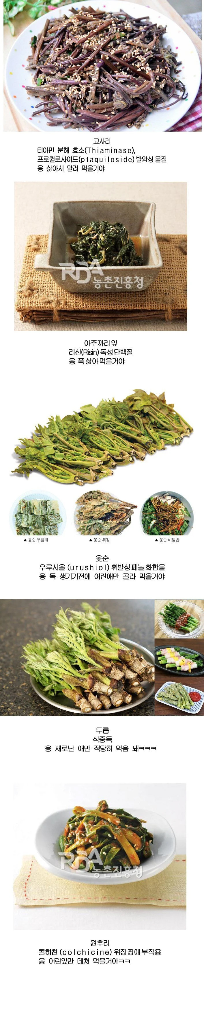 썸네일-한국인들이 자주 먹는 위험한 식물들-이미지