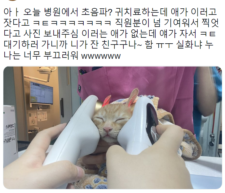 썸네일-네가 초음파 귀치료하는데 잔 친구구나~-이미지