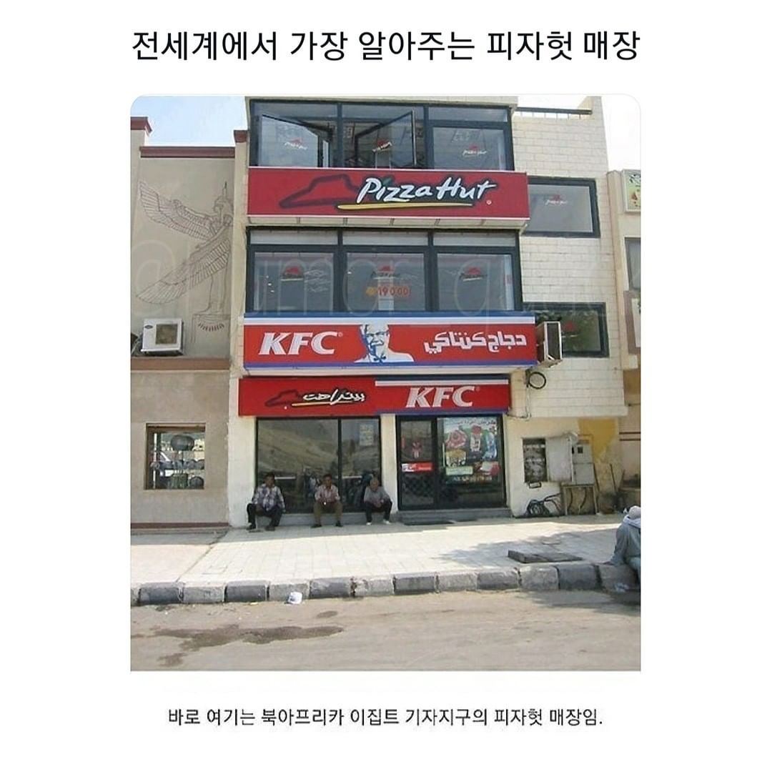 피자헛 이집트점 후기 - 에누리 쇼핑지식 자유게시판