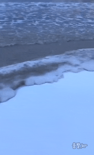 썸네일-해변에 닿자마자 얼어버리는 파도.gif-이미지