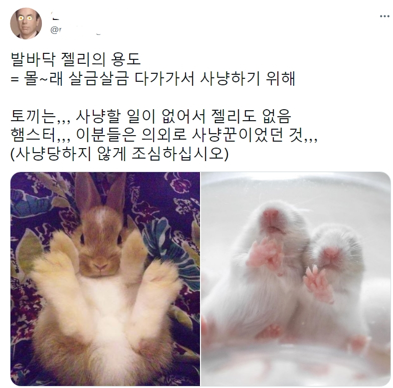 썸네일-생각보다 무서운 햄스터-이미지