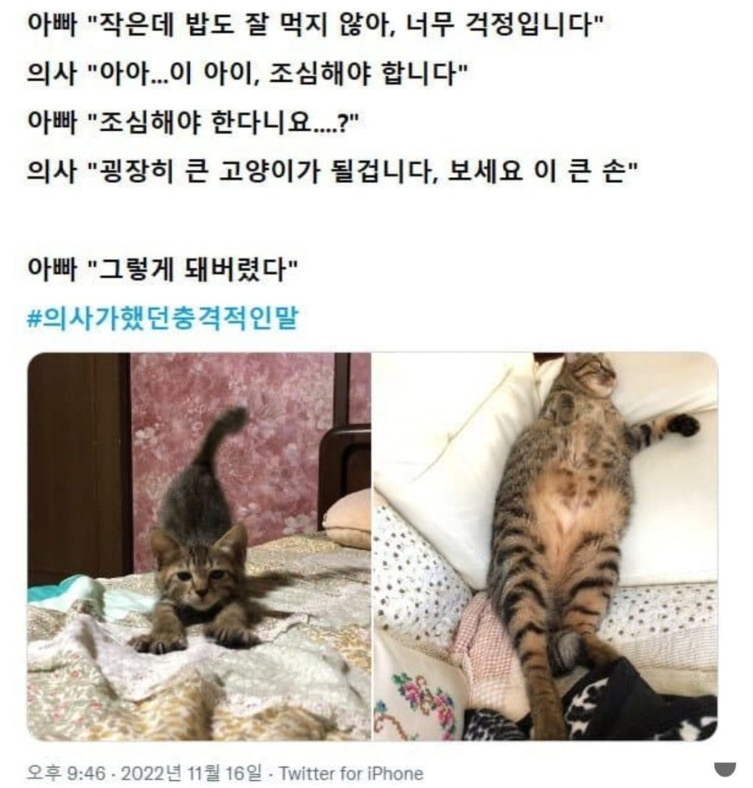 nokbeon.net-작은데 밥도 잘 먹지 않아서 너무 걱정입니다-1번 이미지