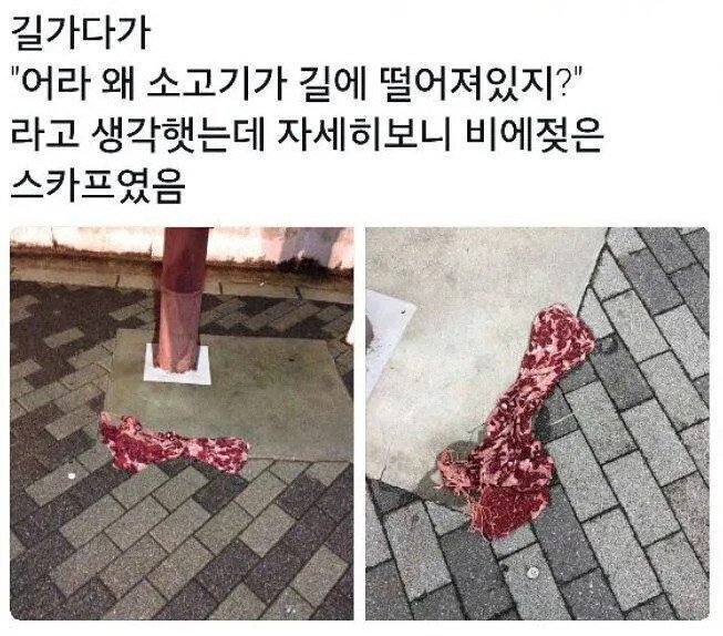 썸네일-길바닥에 왜 소고기가 떨어져 있지-이미지