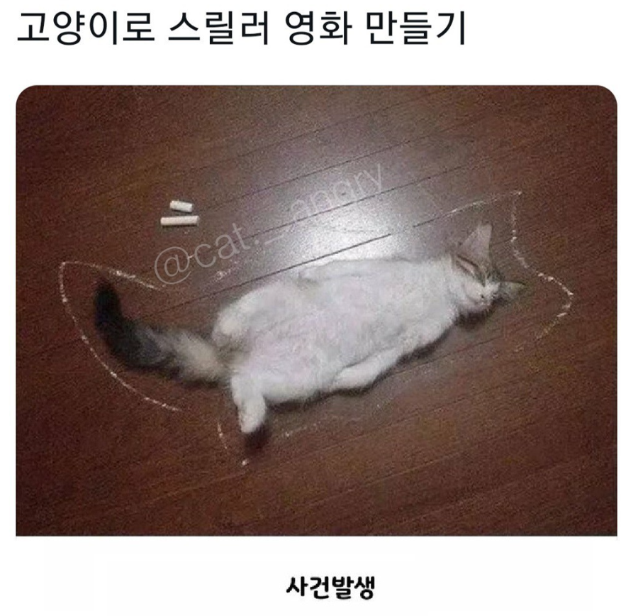 썸네일-고양이로 스릴러 영화 만들기-이미지