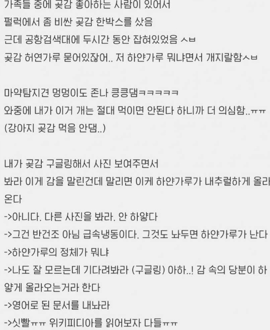 썸네일-공항에 가져가면 안 되는 한국 음식-이미지